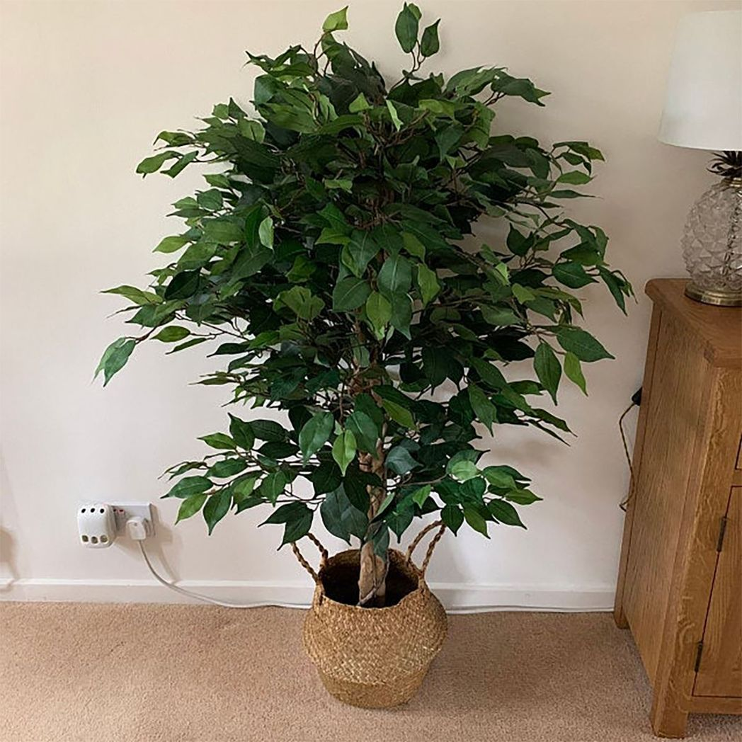 90cm Small Artificial Ficus Tree – Large Bushy Shape with Gold Planter