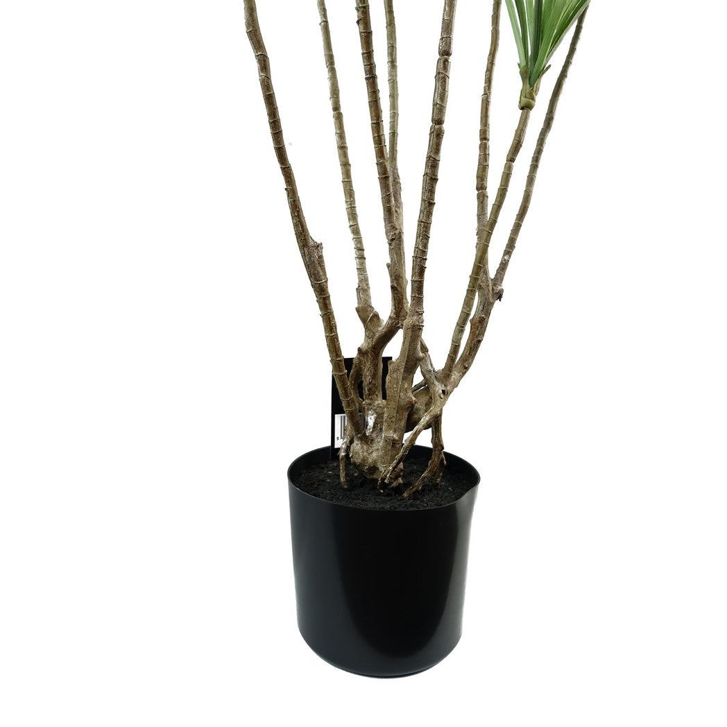 125cm Large Artificial Dracaena Plant – Natural Look Dragon Tree