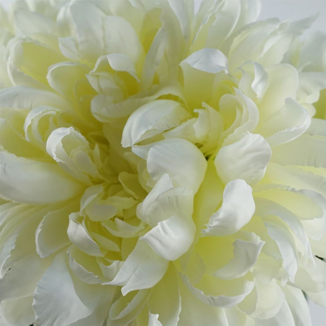 6 x 75cm Medium Artificial White Chrysanthemum Stems – Realistic Reflex Flower Set