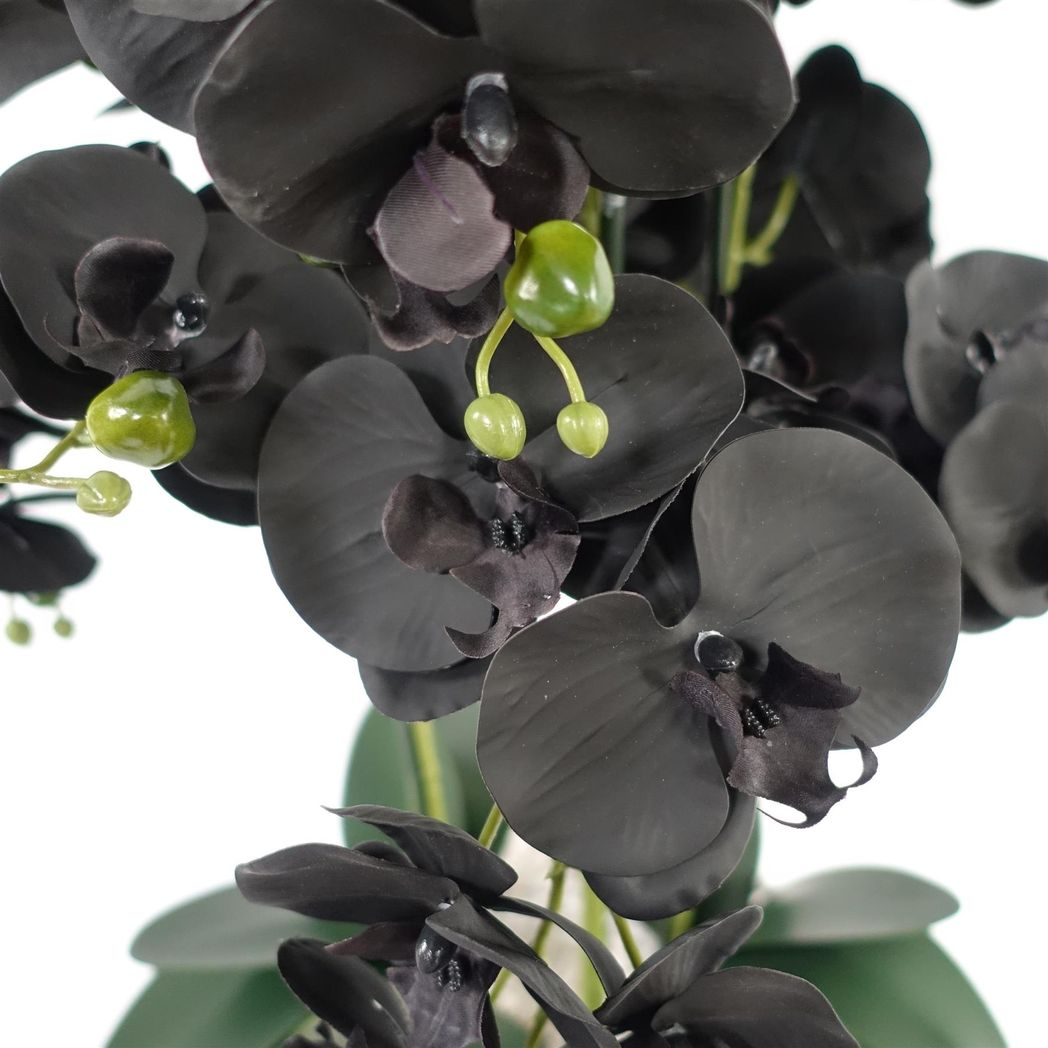 60cm Medium Black Artificial Orchid in White Ceramic Planter – Elegant Realistic Design