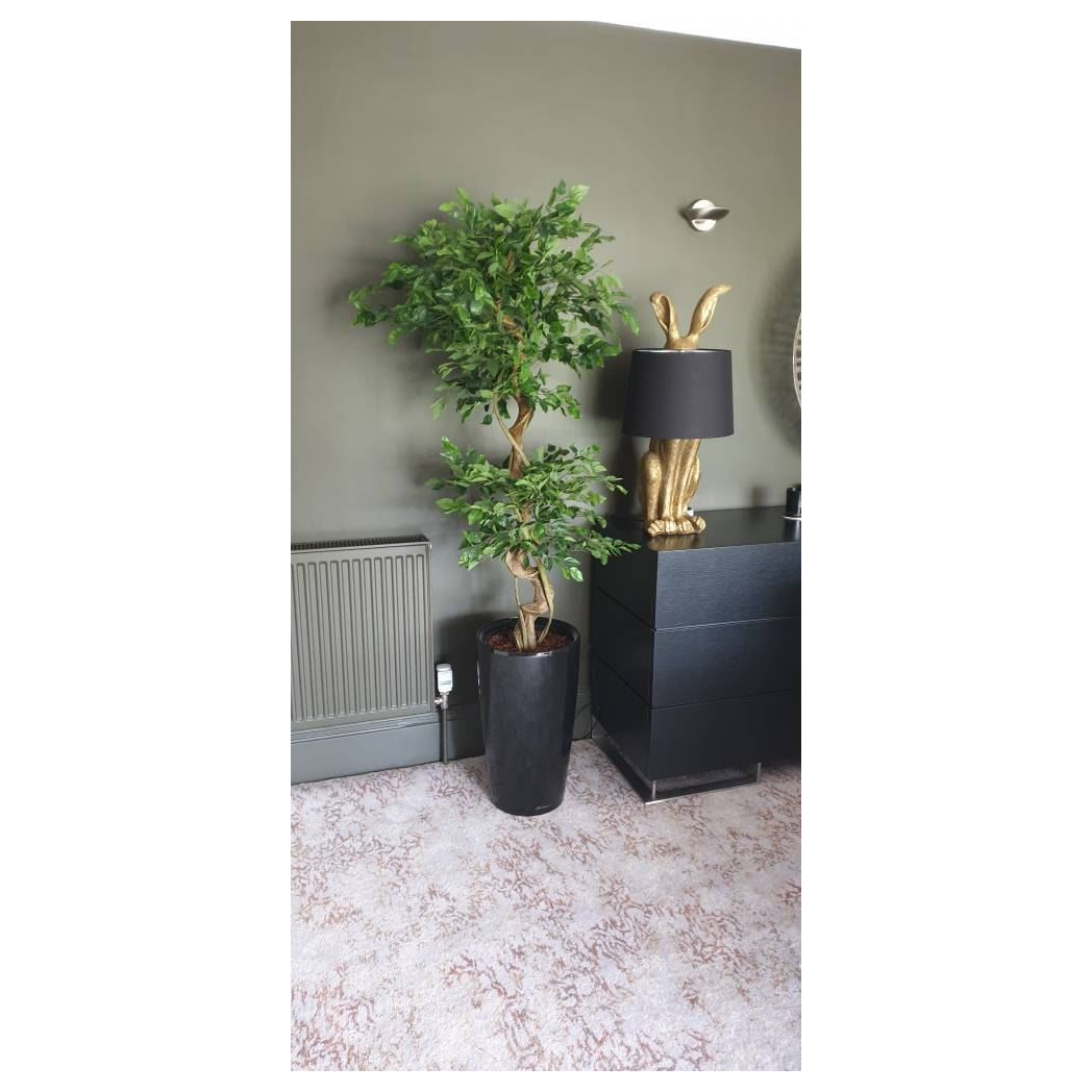 150cm Large Artificial Ficus Tree with Twisted Trunk – Japanese Fruticosa Style