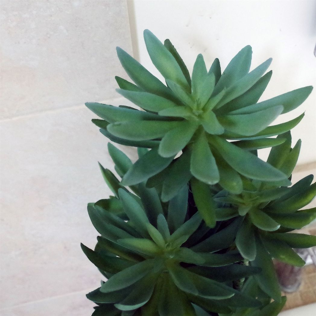 60cm Medium Artificial Tropical Yucca Palm – Realistic Indoor Plant in Decorative Planter