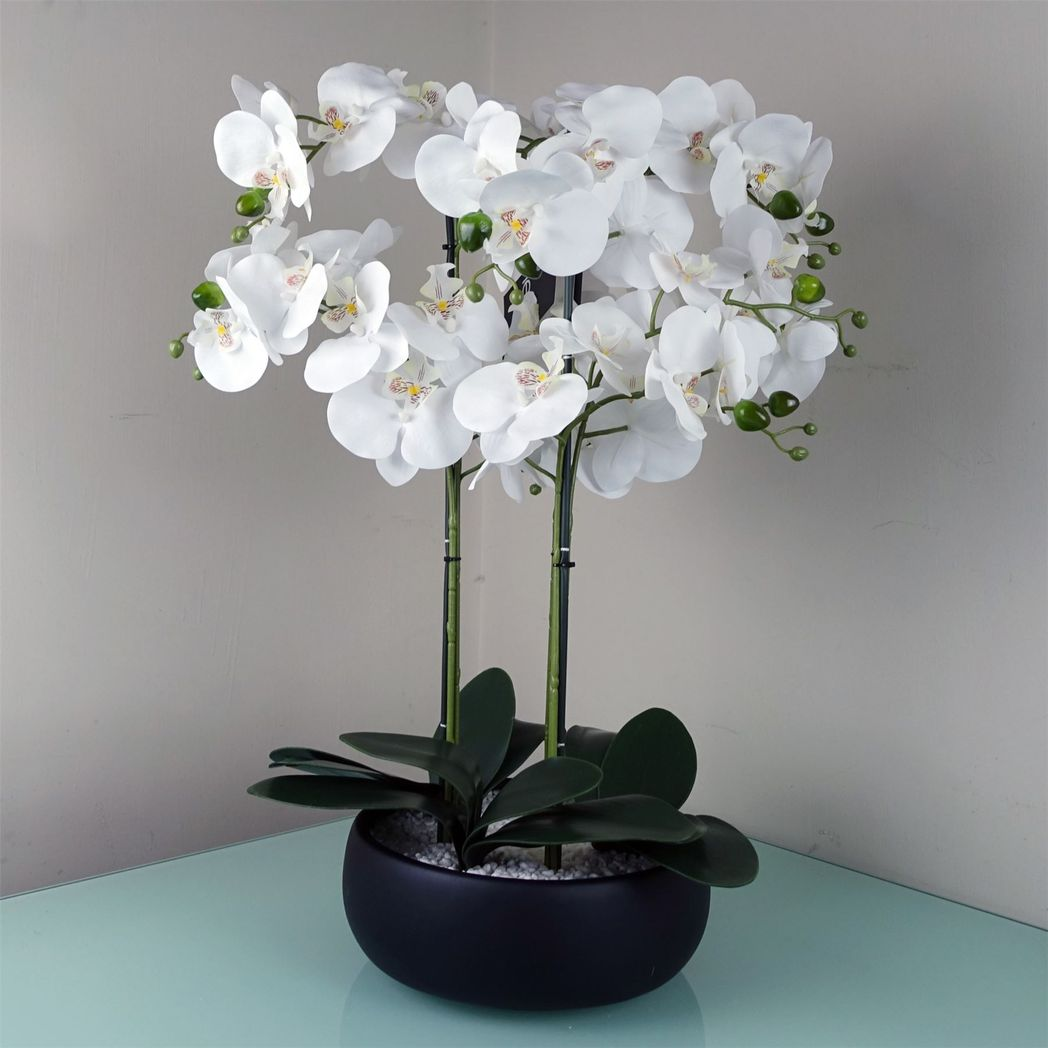 60cm Medium White Artificial Orchid in Black Ceramic Planter – Elegant Realistic Design