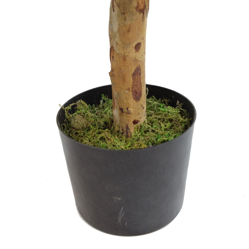 100cm Medium Artificial Dracaena Tree - Premium Tropical Plant