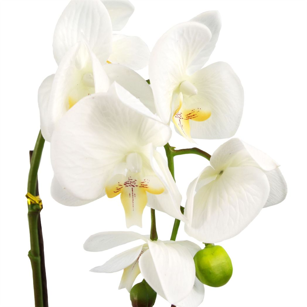 46cm Small White Artificial Orchid in Gold Pot – Faux Orchid Plant