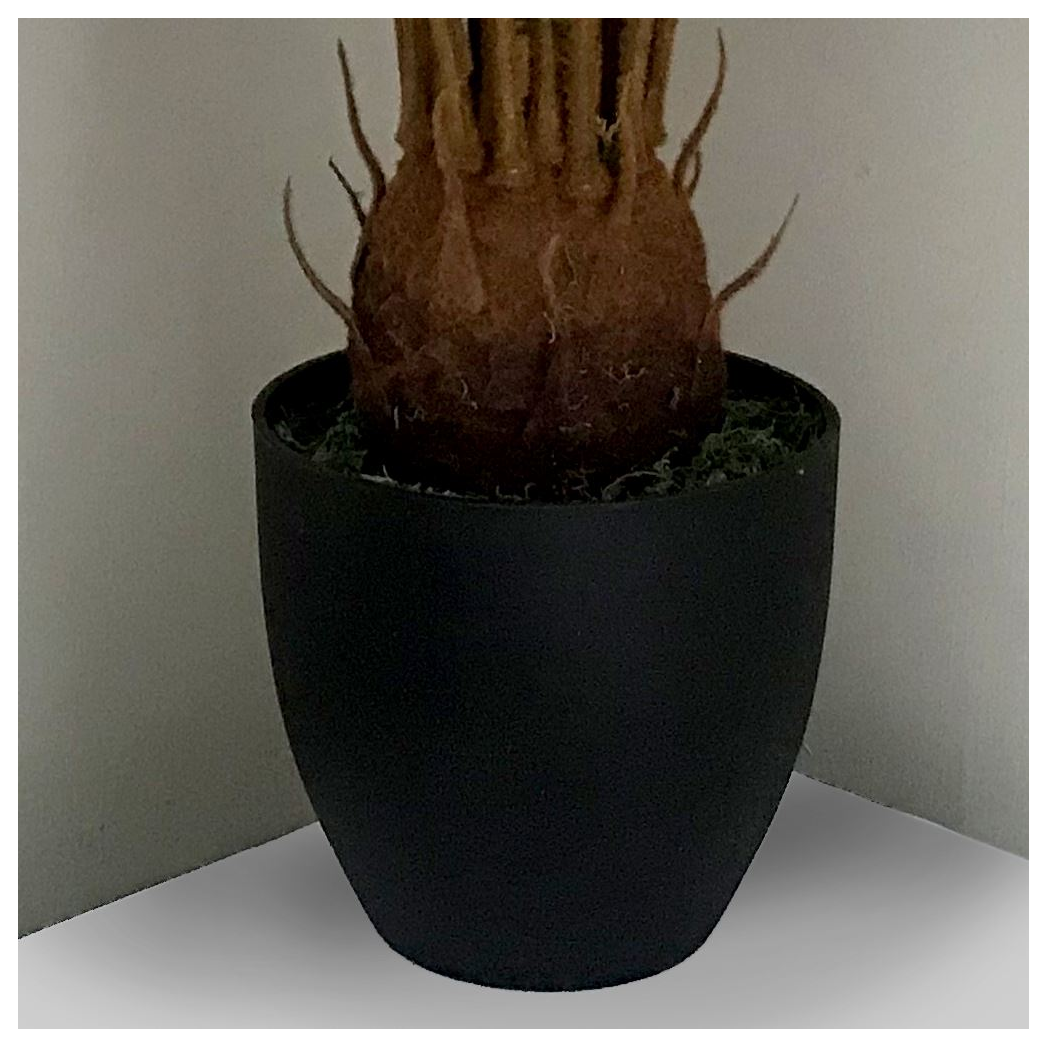 70cm Medium Artificial Cycas Palm Plant – Tropical Green Foliage