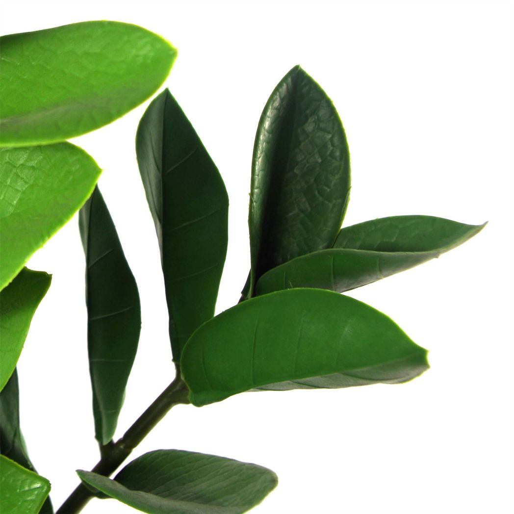 75cm Medium Artificial Zanzibar Gem Zamioculcas Plant – Faux ZZ Succulent