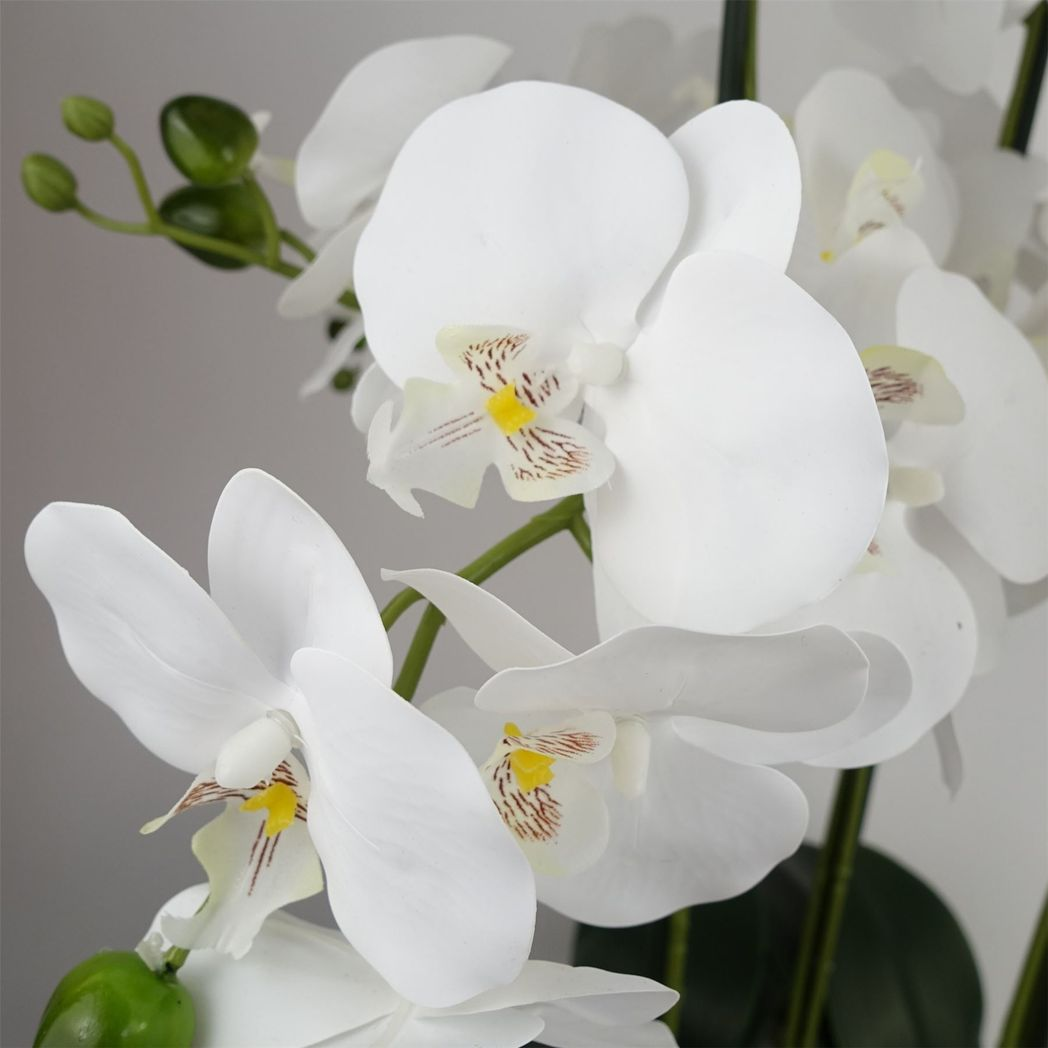 60cm Medium White Artificial Orchid in Black Ceramic Planter – Elegant Realistic Design