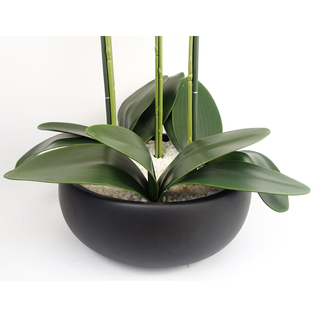 60cm Medium White Artificial Orchid in Black Ceramic Planter – Elegant Realistic Design