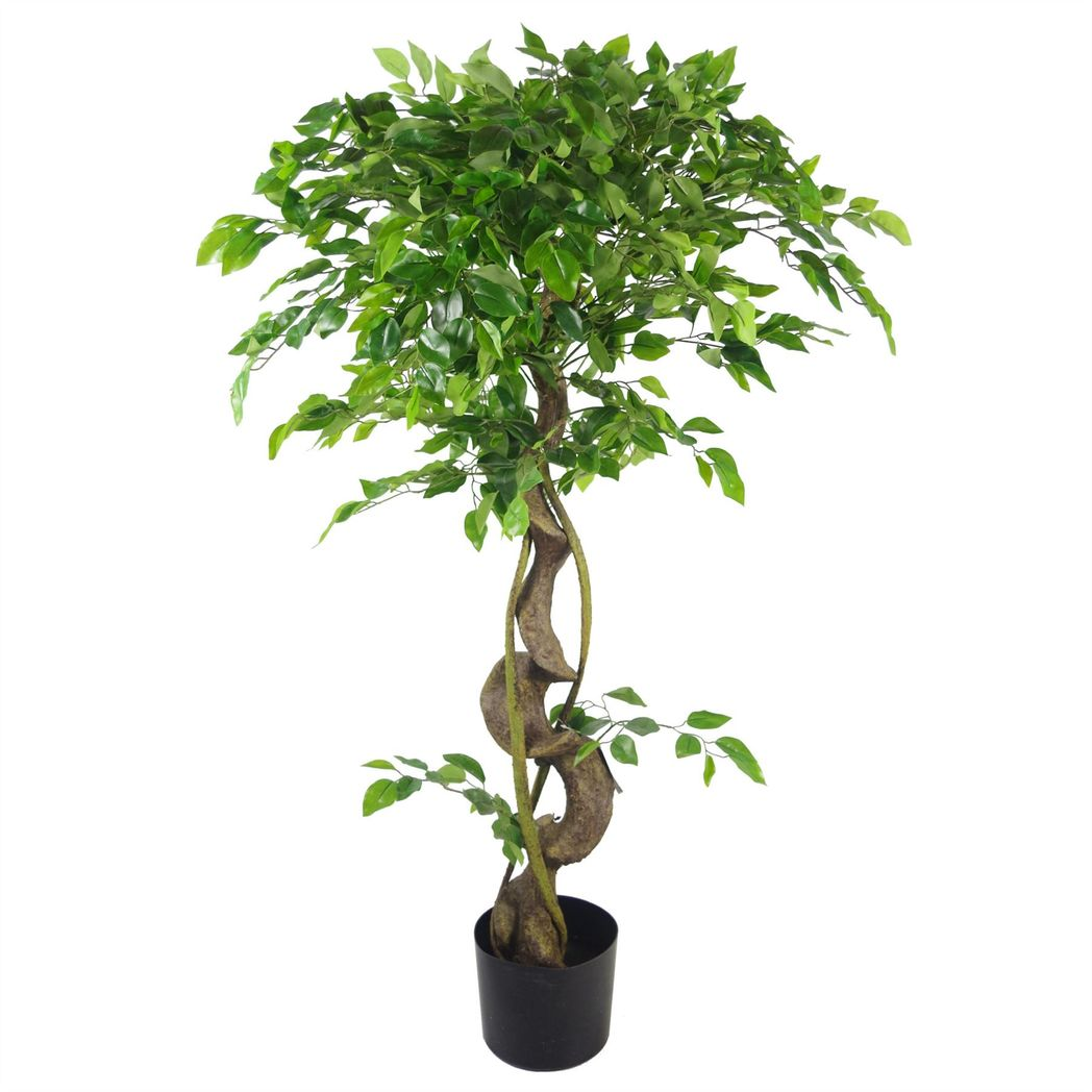 120cm Medium Artificial Ficus Tree – Japanese Fruticosa Style with Gold Planter