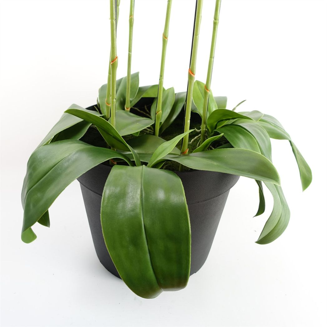 110cm Large Black Artificial Orchid Plant – 41 Real Touch Flowers for Modern Home Décor