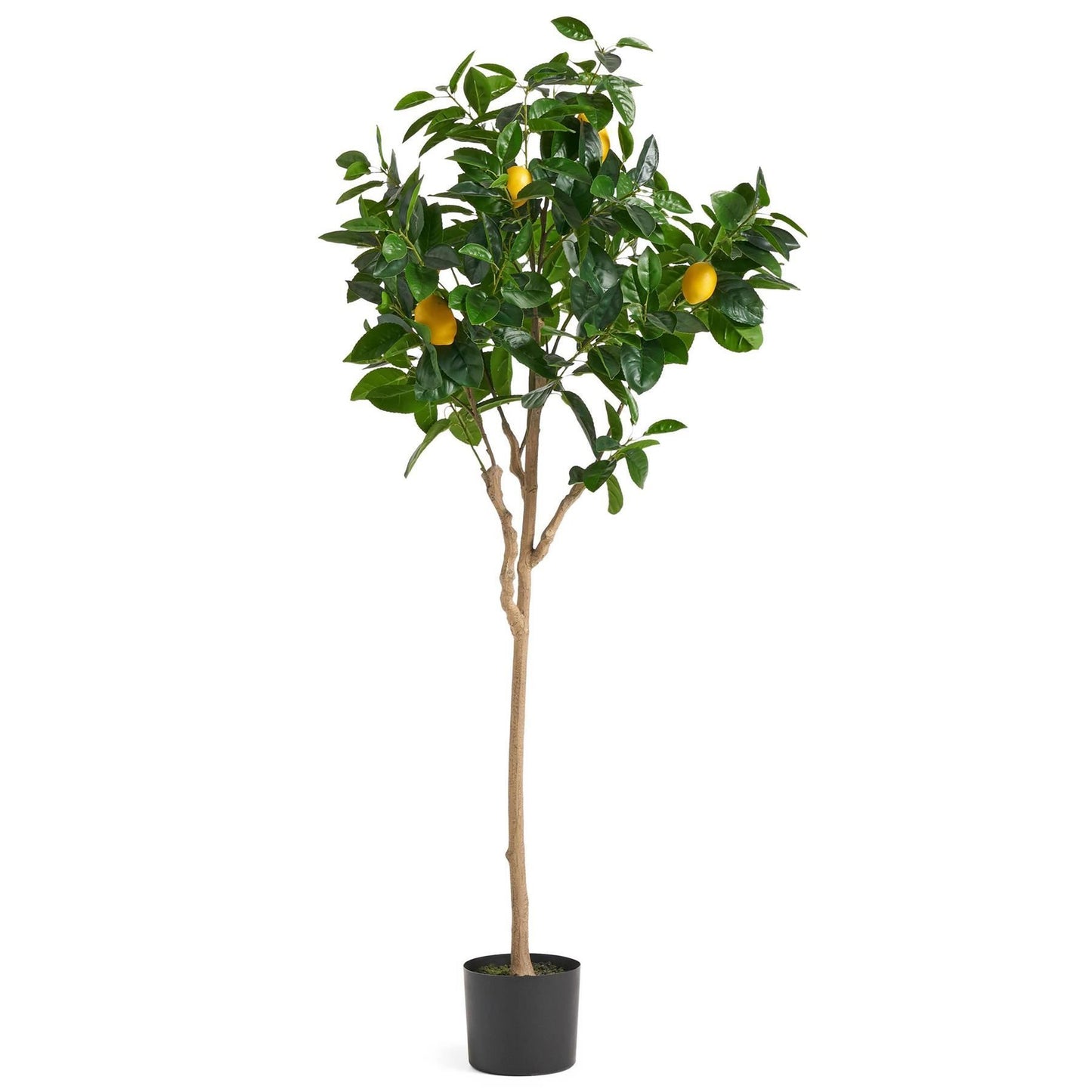 150cm Large Artificial Lemon Tree – Realistic Faux Lemon Tree for Mediterranean-Inspired Décor