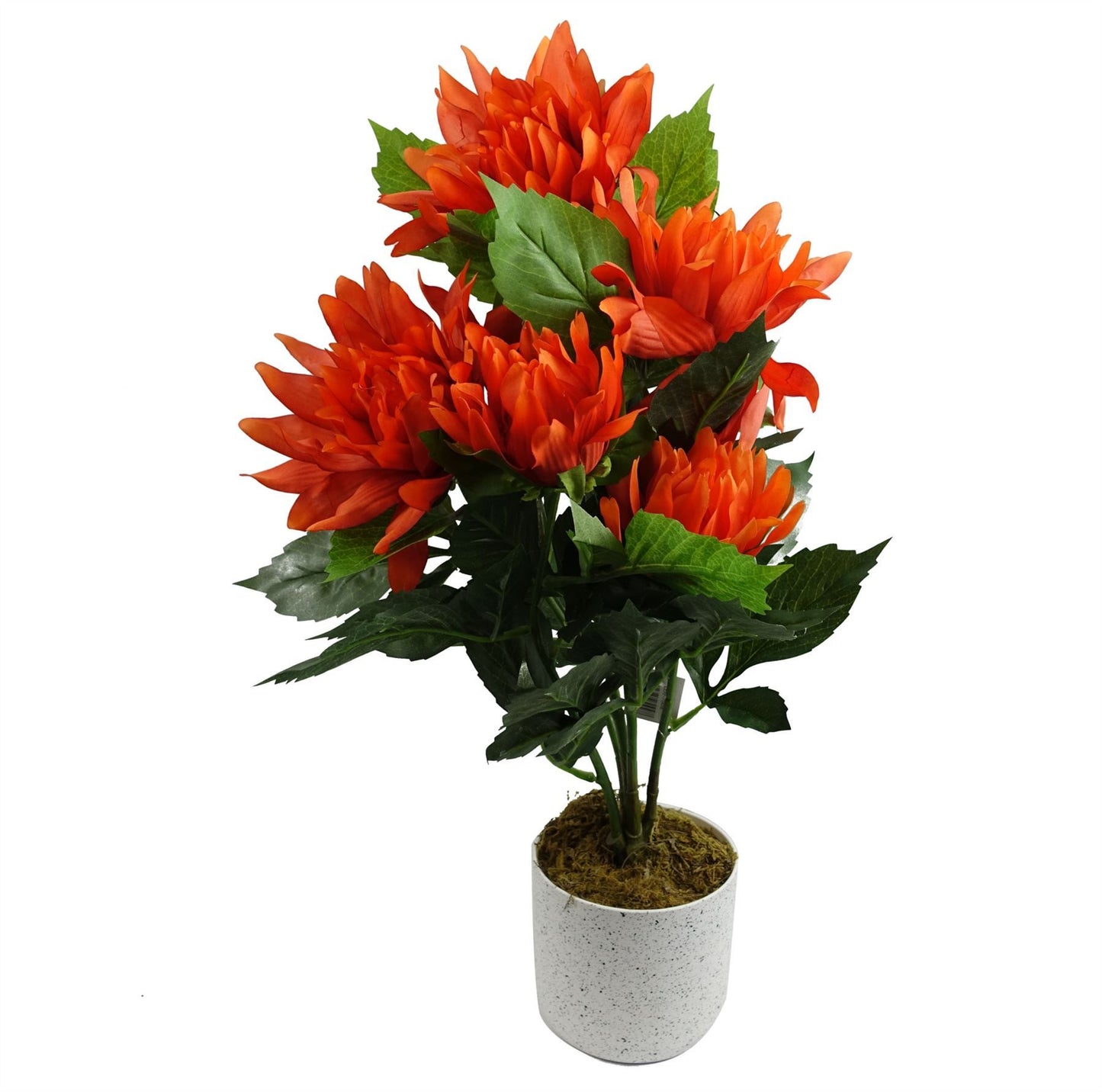 55cm Small Artificial Red Dahlia – Faux Dahlia Plant with White Decorative Planter