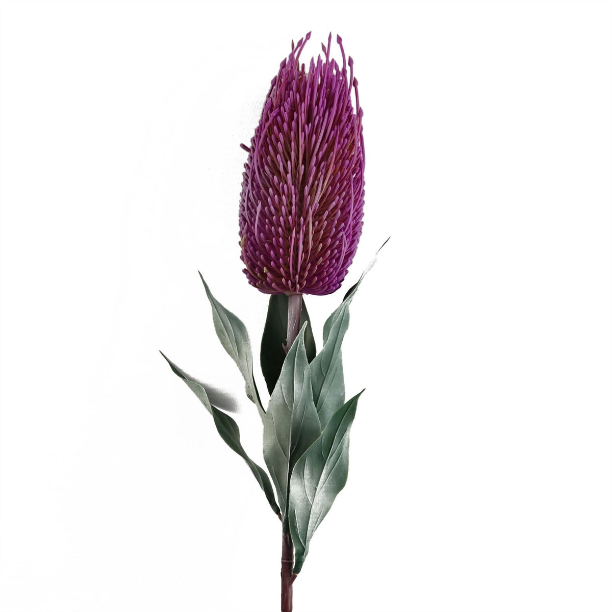 75cm Medium Artificial Pink Banksia Menziesii Flower – Realistic Faux Stem