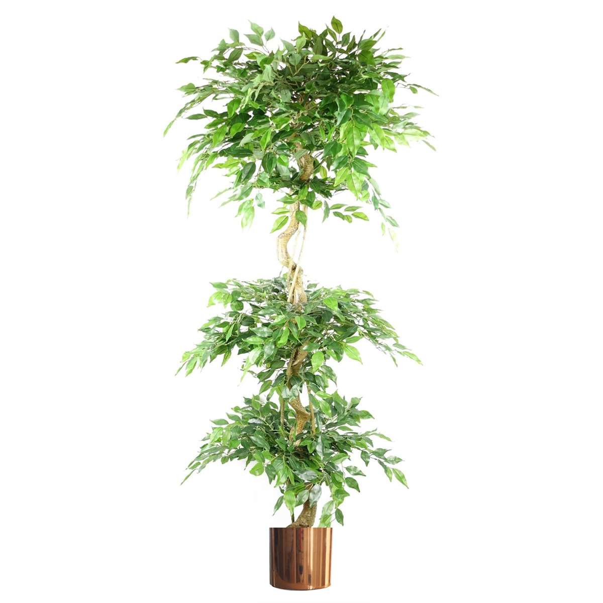 180cm Large Artificial Ficus Tree – Twisted Trunk Fruticosa Style 3 Tier Design with Copper Planter
