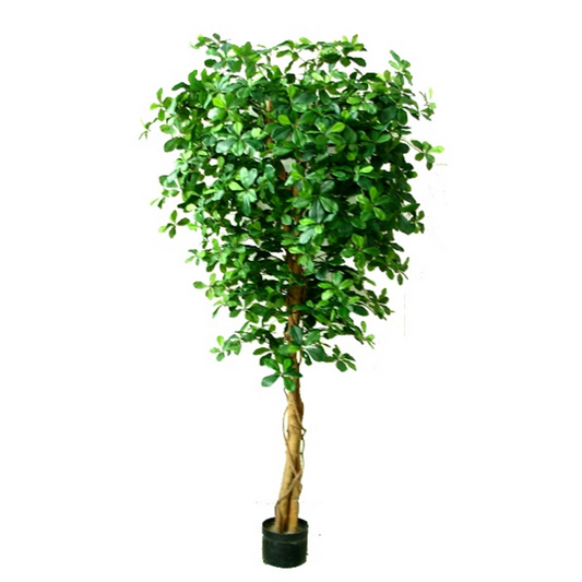 180cm Large Artificial Olive Tree – Realistic Fire Retardant Faux Olive Tree with Natural Trunk
