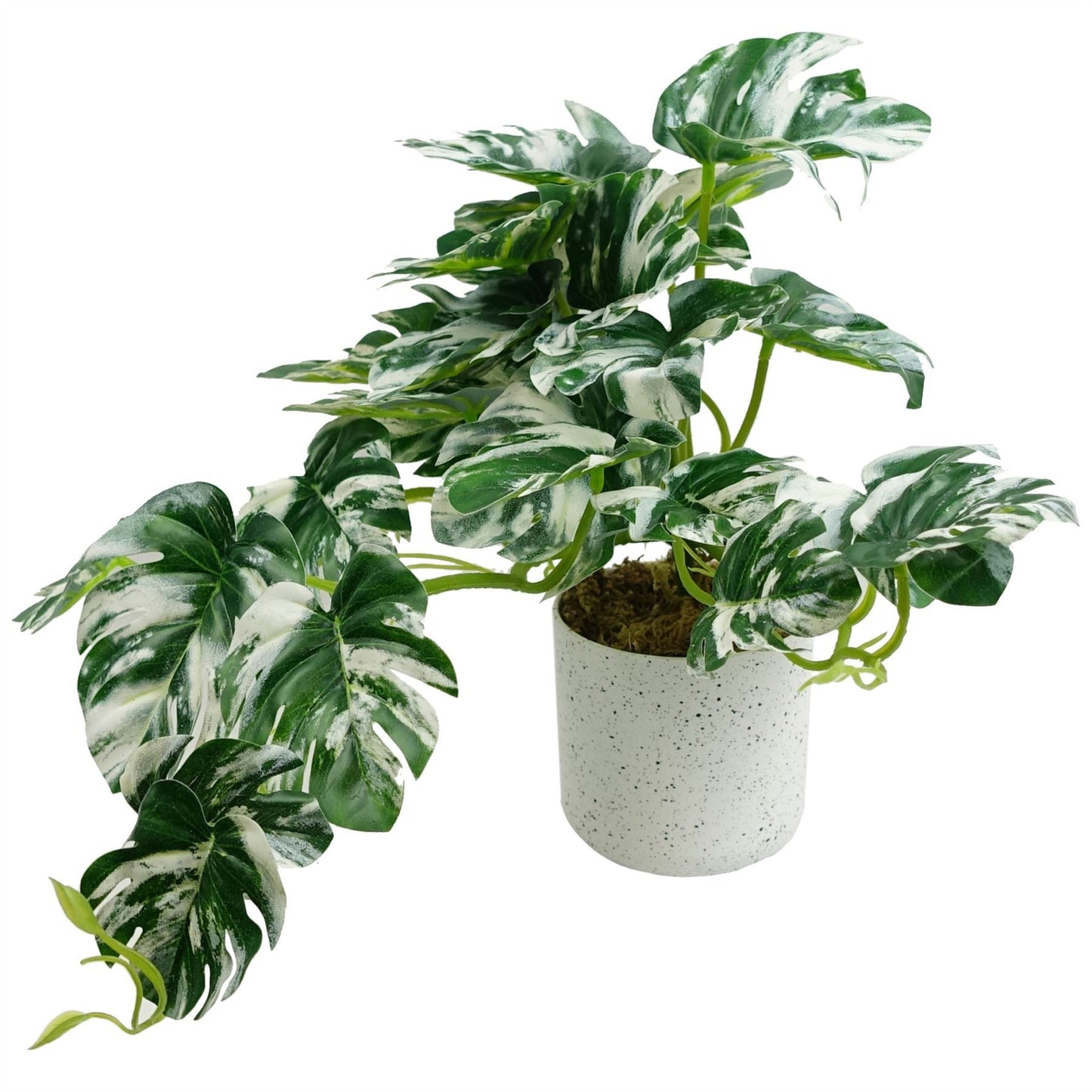 30cm Small Variegated Green Artificial Monstera Trailing Plant – Realistic Faux Monstera in White Planter