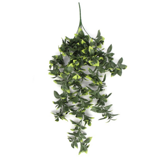71cm Medium Artificial Hanging Pothos Plant – UV & Fire Resistant Trailing Greenery