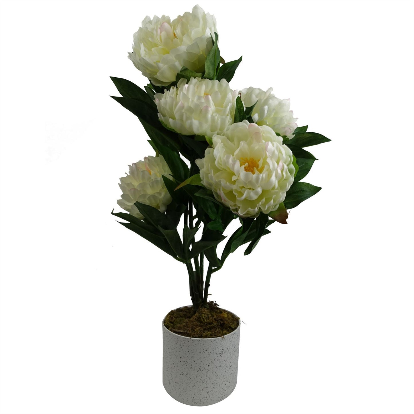 55cm Small Artificial White Peony Plant – Faux Peony with White Decorative Planter