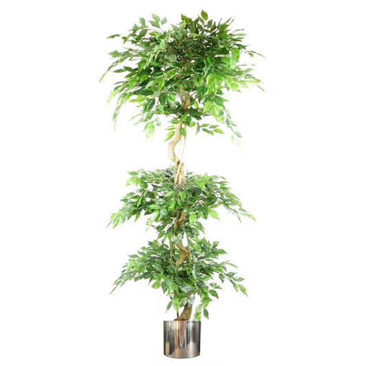 180cm Large Artificial Ficus Tree – Twisted Trunk Fruticosa Style 3 Tier Design with Silver Metal Planter