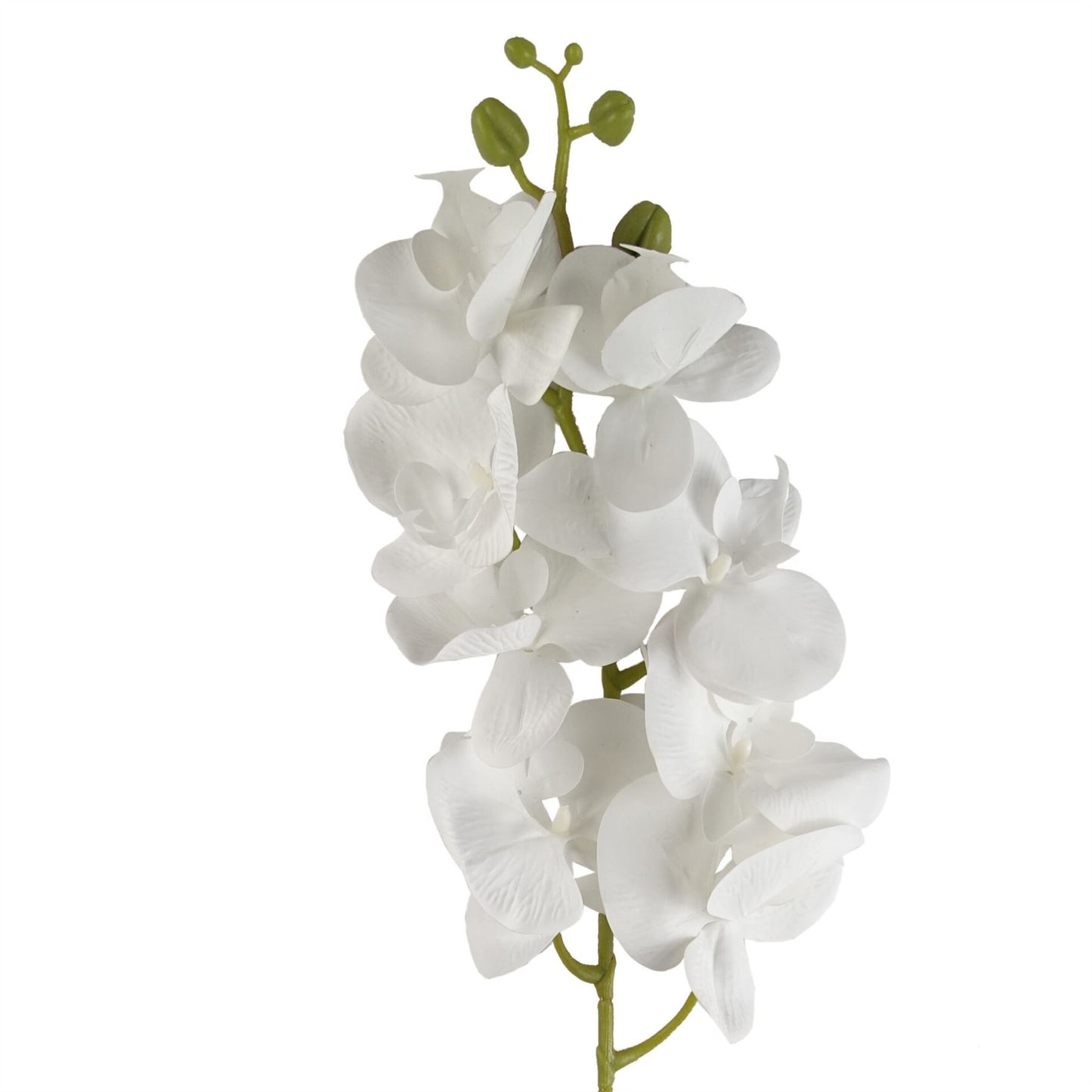 100cm Large Artificial White Phalaenopsis Orchid Flowers – Realistic Faux Orchid Stem