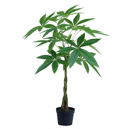 70cm Small Artificial Money Tree Pachira – Realistic Faux Plant