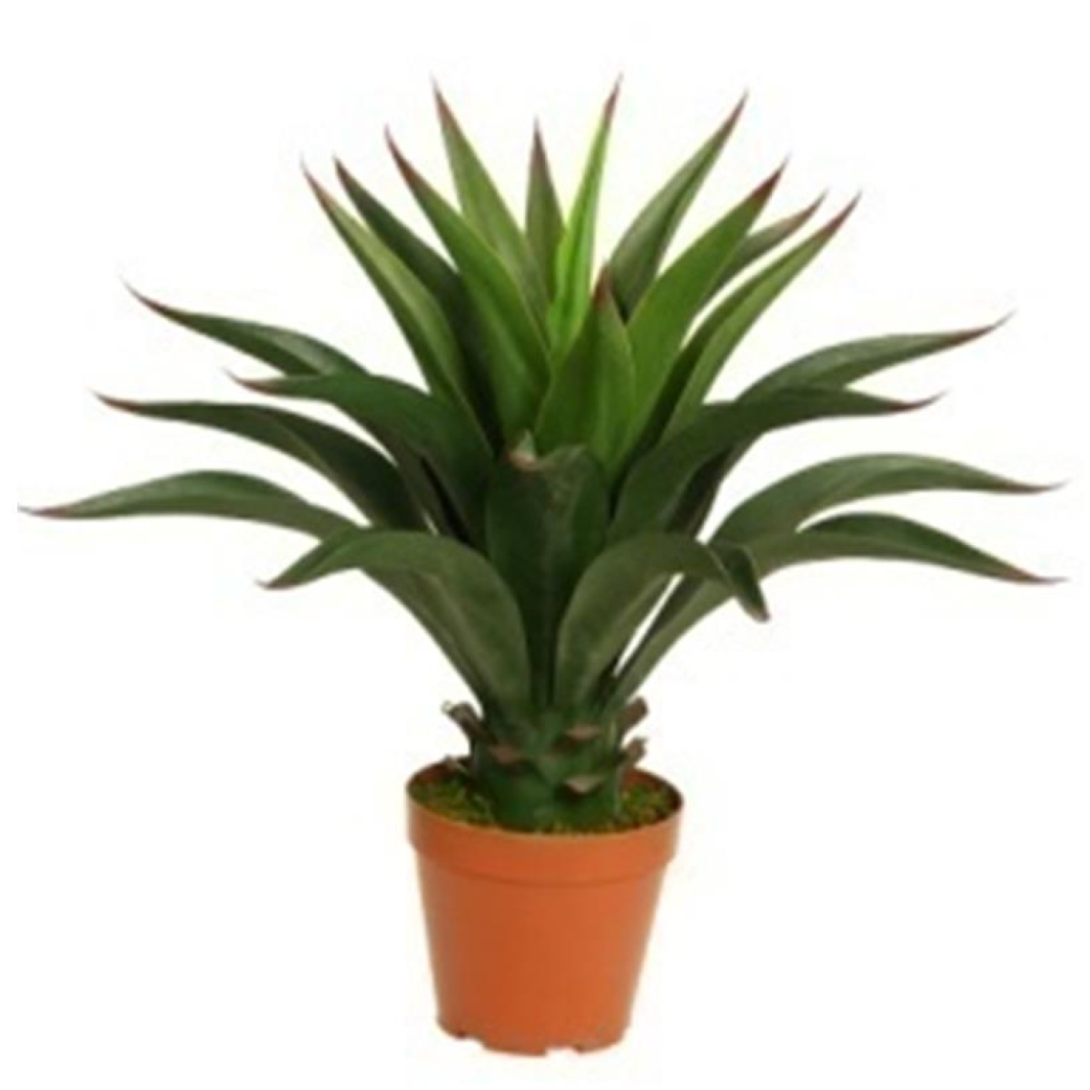 60cm Medium Deluxe Artificial Yucca Plant – Lifelike Indoor Desert Plant