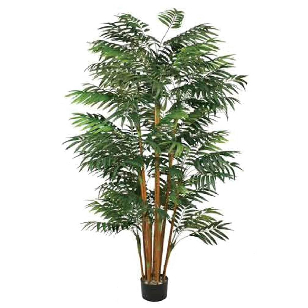 200cm Extra Large Fire Retardant Natural Bamboo Tree – Realistic Indoor Bamboo Plant