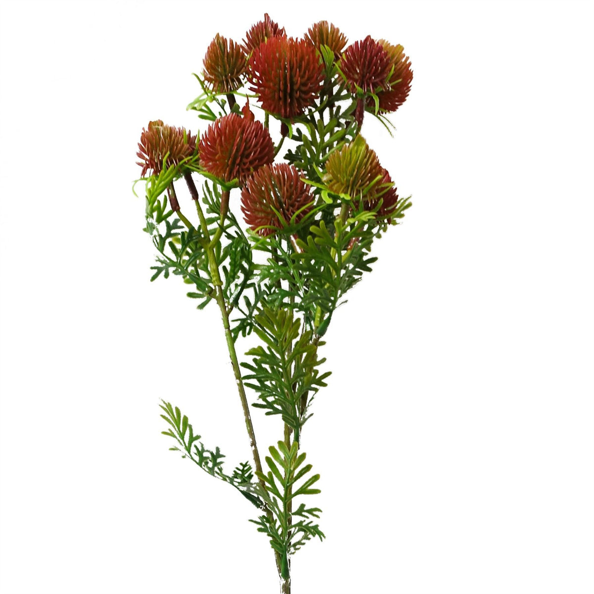 55cm Small Artificial Red Craspedia Flower – Realistic Faux Stem