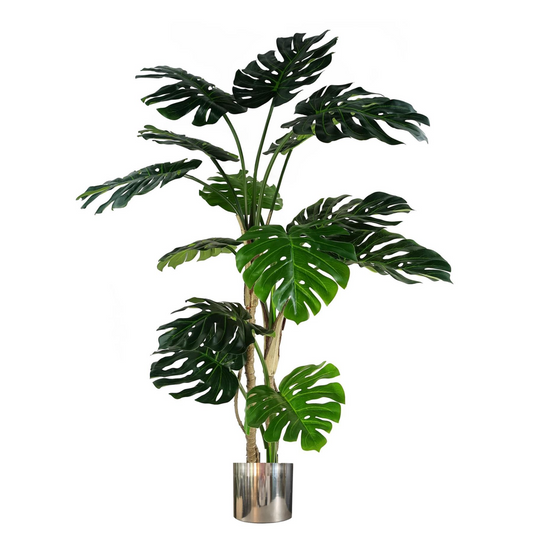 150cm Extra Large Luxury Monstera Artificial Plant with Silver Metal Planter – Lifelike Indoor Tropical Plant