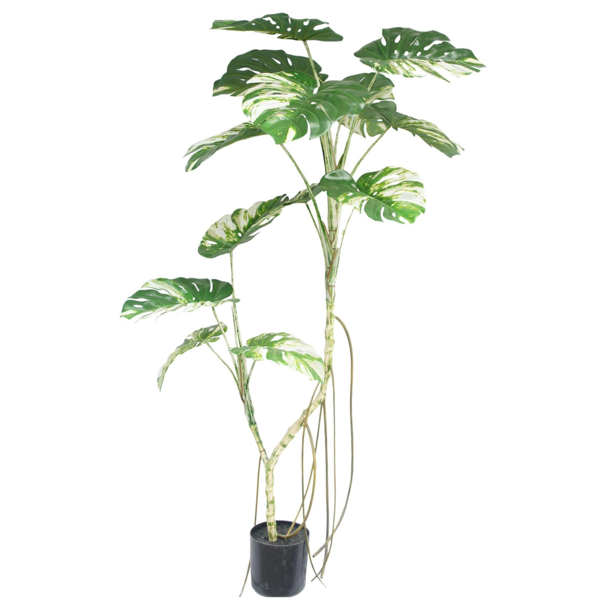 180cm Extra Large Variegated Monstera Artificial Plant – Lifelike Indoor Tropical Plant