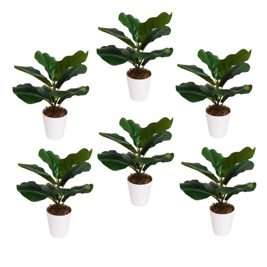 6 x 38cm Small Artificial Fiddle Leaf Fig Plants in White Pots – Indoor Ficus