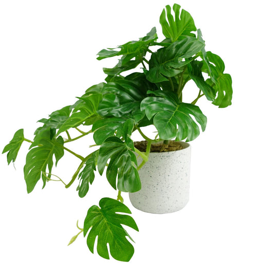 30cm Small Green Artificial Monstera Trailing Plant – Realistic Faux Monstera in White Planter