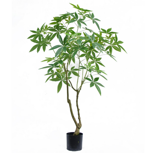 150cm Large Artificial Money Tree Pachira – Realistic Faux Plant