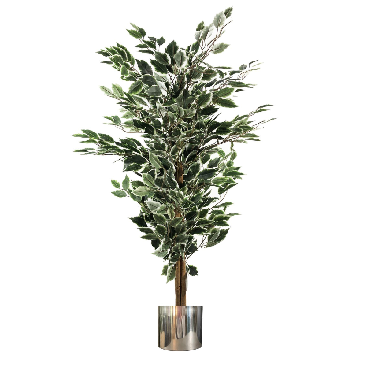 130cm Large Artificial Variegated Bushy Ficus Tree with Silver Planter – Realistic Faux Indoor Tree