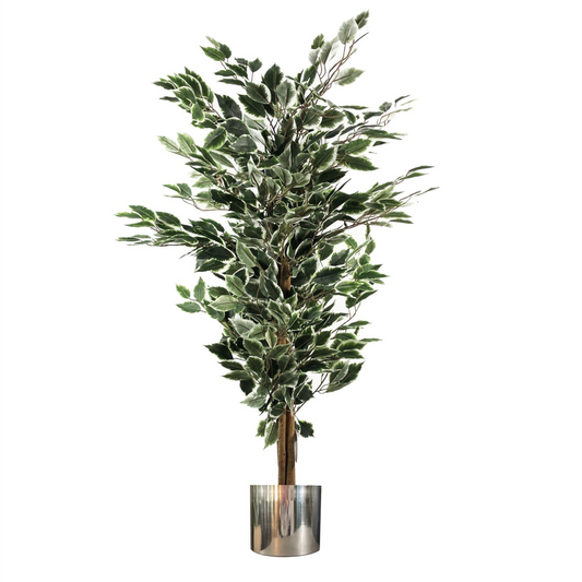 130cm Large Artificial Variegated Bushy Ficus Tree with Silver Planter – Realistic Faux Indoor Tree