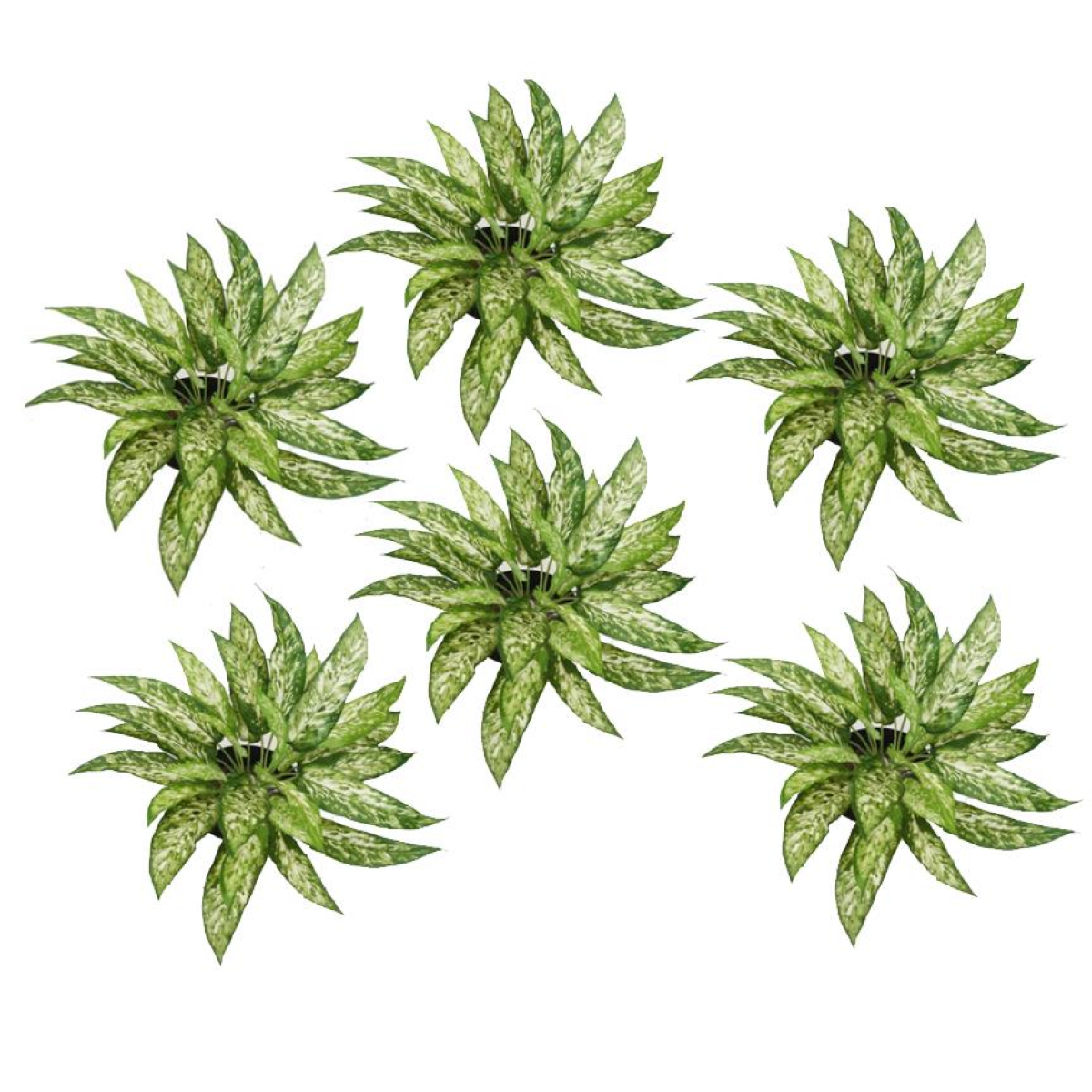 6 x 45cm Small Fire Retardant Artificial Aglaonema Bushes – Realistic Faux Foliage Stems