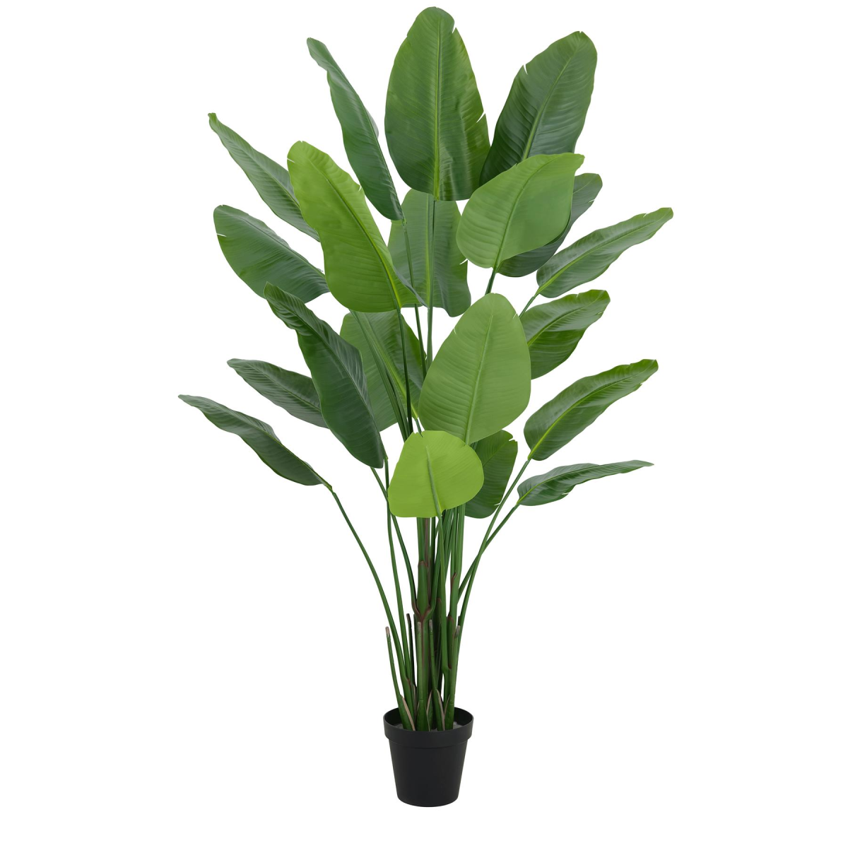 200cm Extra Large Traveller Palm Artificial Tree – Realistic Ravenala Foliage