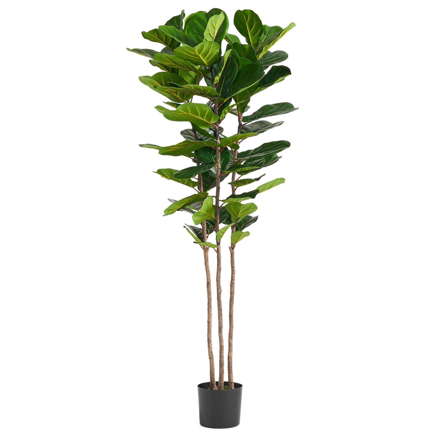 180cm Large Artificial Fiddle Leaf Fig Tree – Premium Indoor Ficus Plant