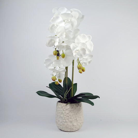 60cm Medium Artificial Pure White Orchid in Ceramic Bubble Planter - Elegant Faux Orchid Plant