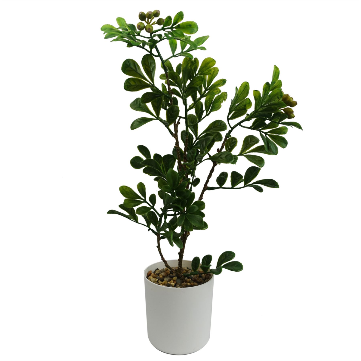 45cm Small Artificial Aglaia Odorata Bonsai Ficus Tree – Realistic Faux Bonsai in Decorative Pot