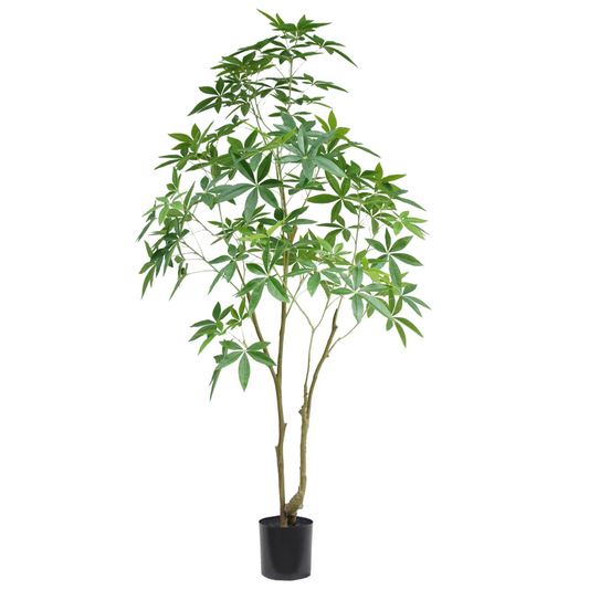 210cm Extra Large Artificial Money Tree Pachira – Realistic Faux Plant