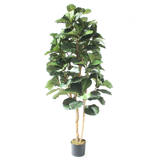 180cm Large Artificial Fiddle Leaf Fig Tree – Indoor Ficus Plant