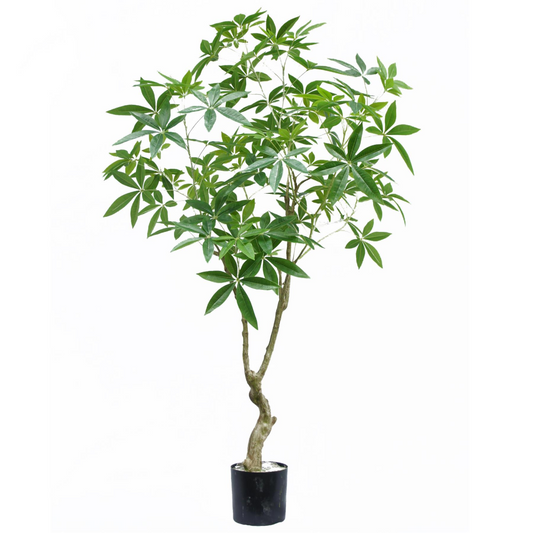 180cm Large Artificial Money Tree Pachira – Realistic Faux Plant