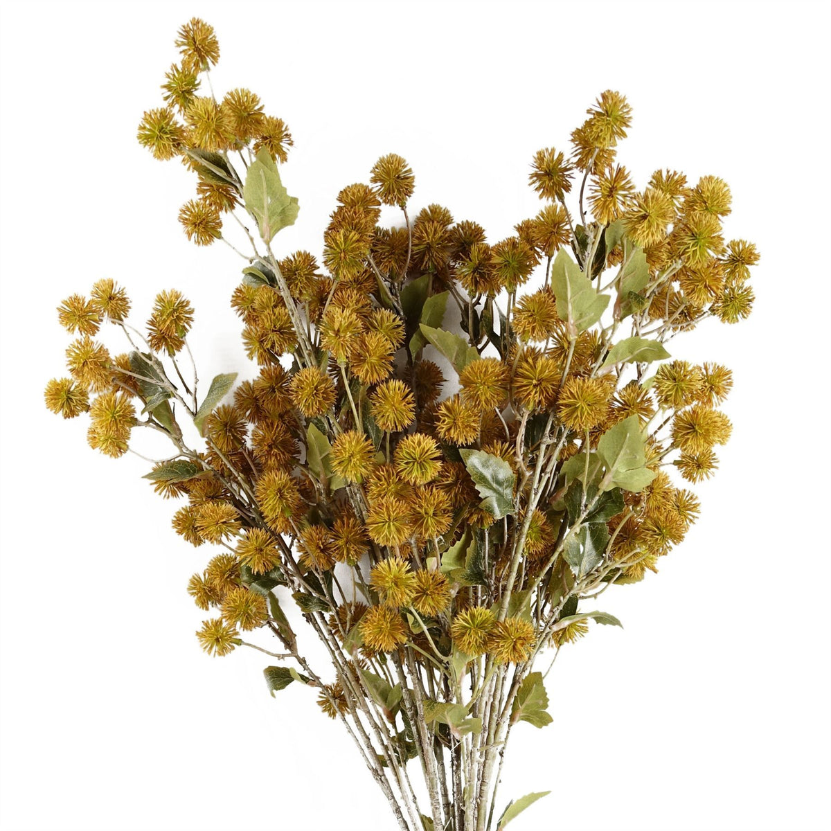 6 x 85cm Medium Artificial Yellow Craspedia Flowers – Realistic Faux Stems