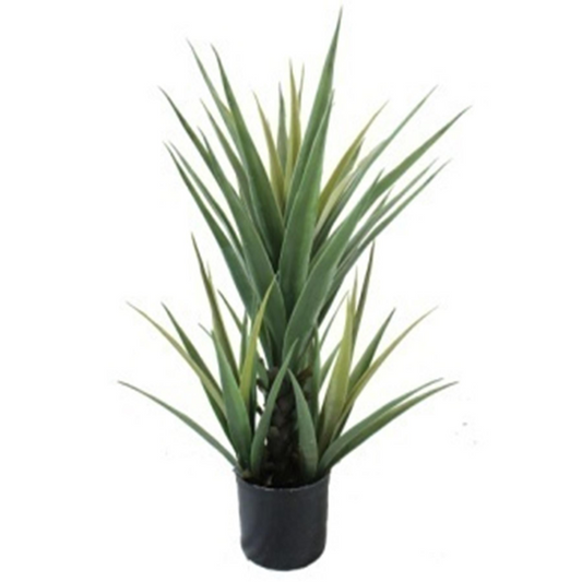 70cm Medium Premium Artificial Yucca Plant – Statement Indoor Desert Greenery