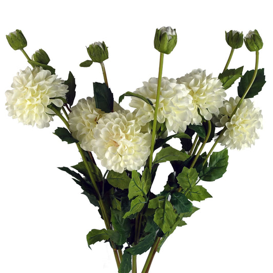 6 x 75cm Medium Artificial Cream Dahlia Pompom Flowers – Faux Dahlia Stems