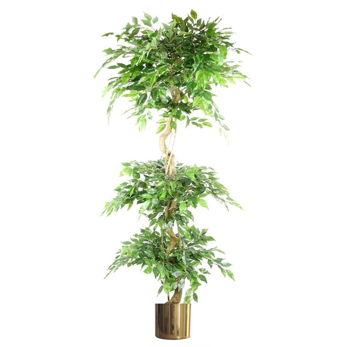 180cm Large Artificial Ficus Tree – Twisted Trunk Fruticosa Style 3 Tier Design with Gold Metal Planter