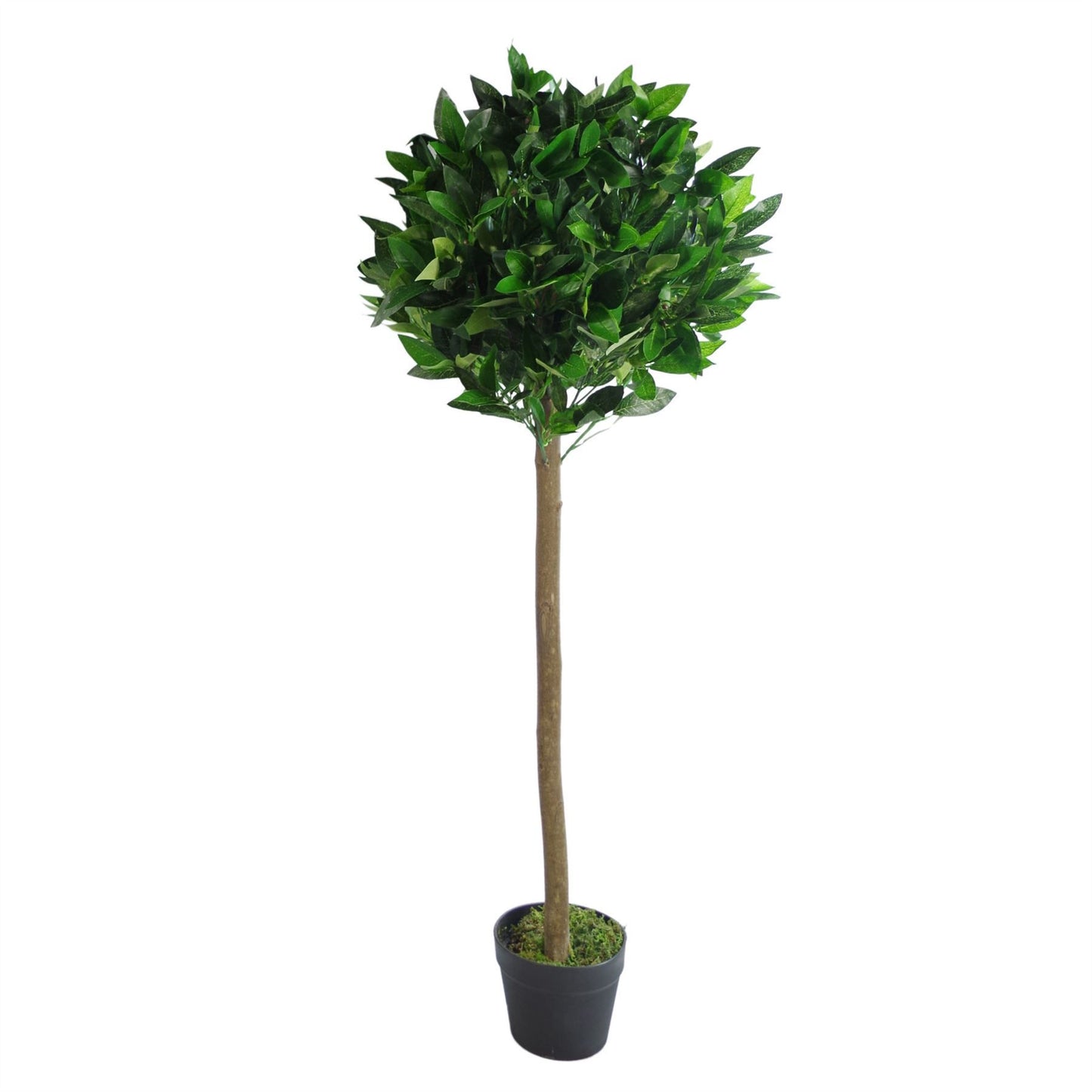 120cm Medium Artificial Bay Laurel Ball Tree – Plain Natural Trunk Topiary for Home or Office