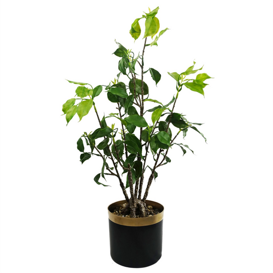 60cm Small Artificial Banyan Bonsai Ficus Tree – Realistic Faux Indoor Plant in Decorative Pot